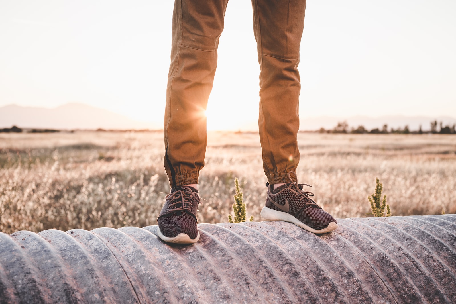 Dark Brown Chino Pants