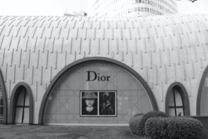 grayscale photo of concrete building, Dior