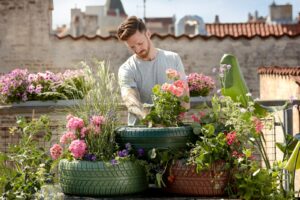 Artistic Gardening